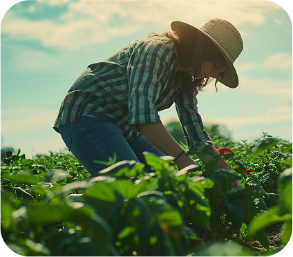 Imagem agricultura